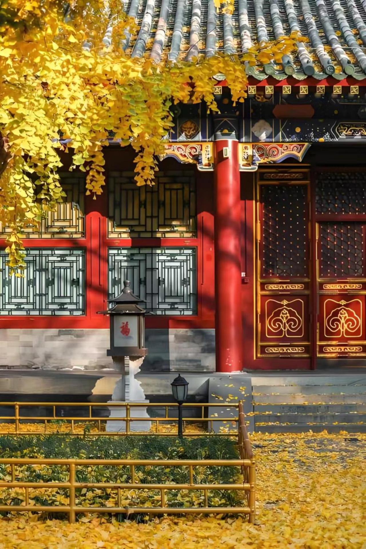 Beijing Tangfu Hotel - Located In The City Center Adjacent To The Subway Station Close To Nanluoguxiang Gulou Lama Temple Tiananmen Square Forbidden City Temple Of Heaven Providing Laundry Car Rental And Ticketing Services Bagian luar foto